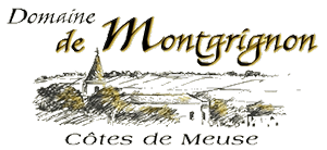 logo montgrignon