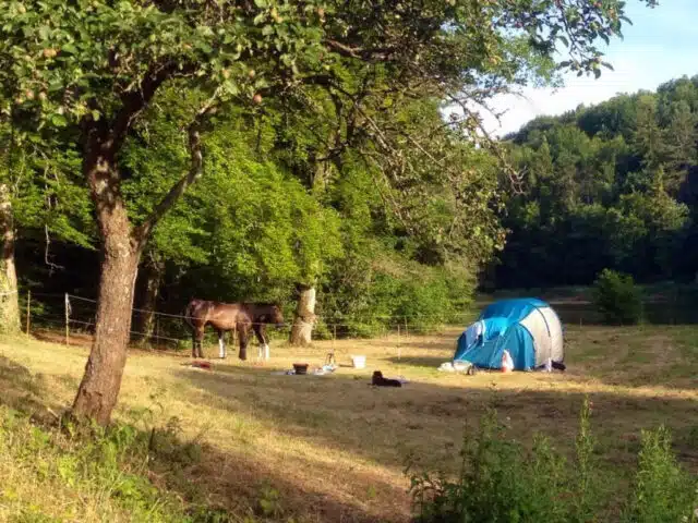 camping-nature